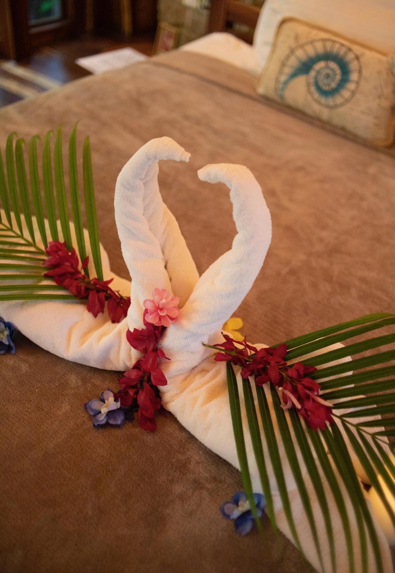Ocho Artisan Bungalows (Adults Only) Tamarindo Exteriér fotografie
